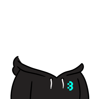 Hoodie Black Bitlock