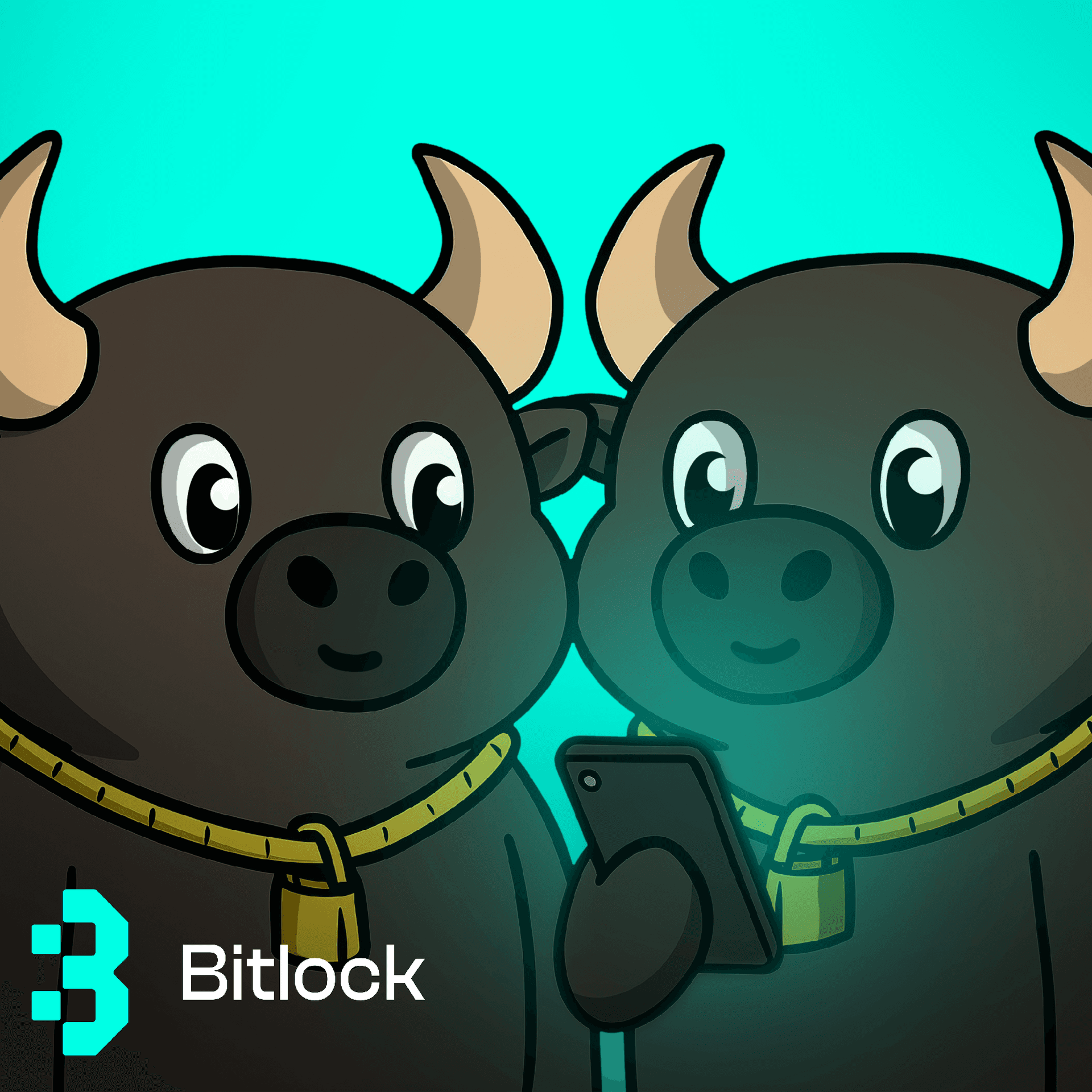 crypto wallet app, bitlock wallet