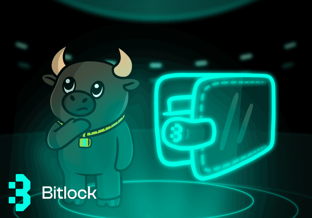 what are crypto wallet, bitlock wallet, hero image