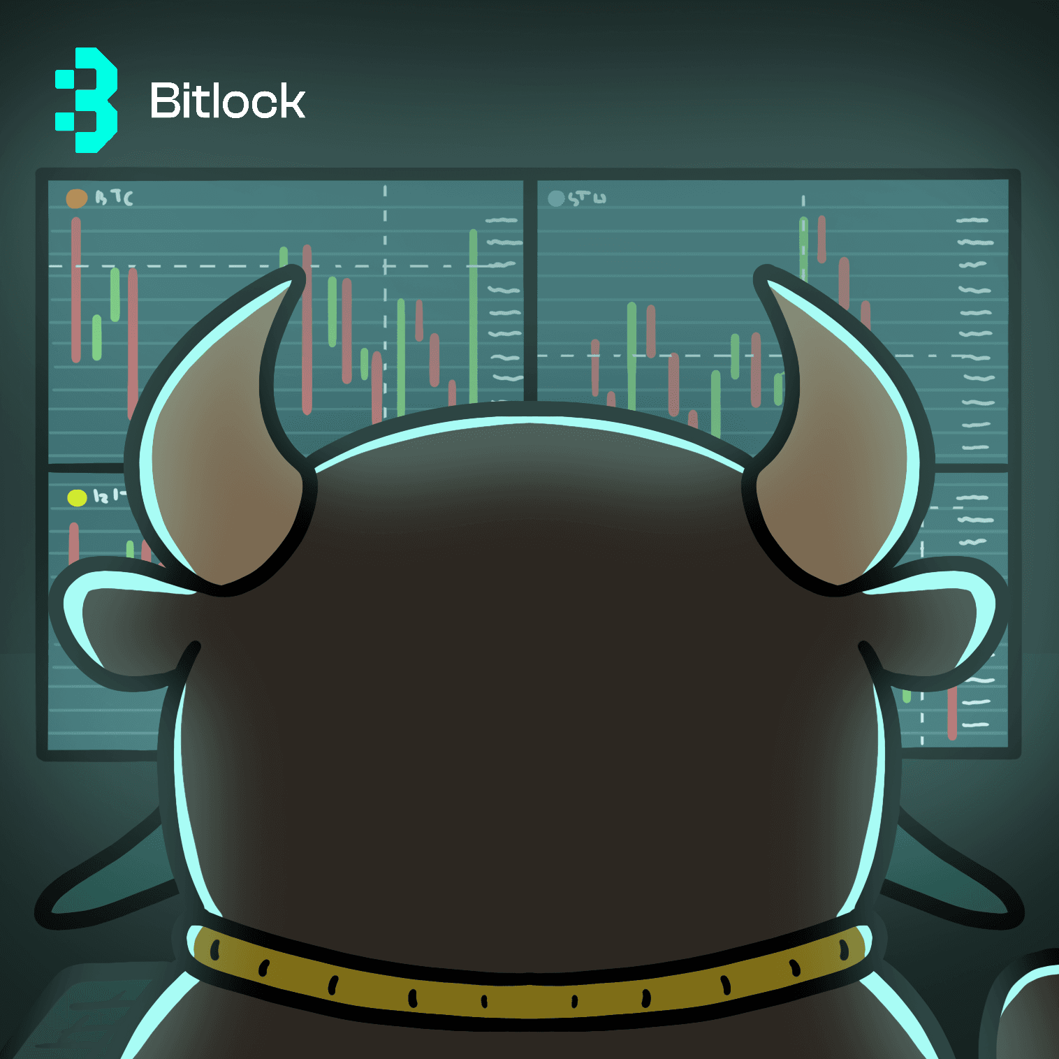 multichain wallet, bitlock wallet hero