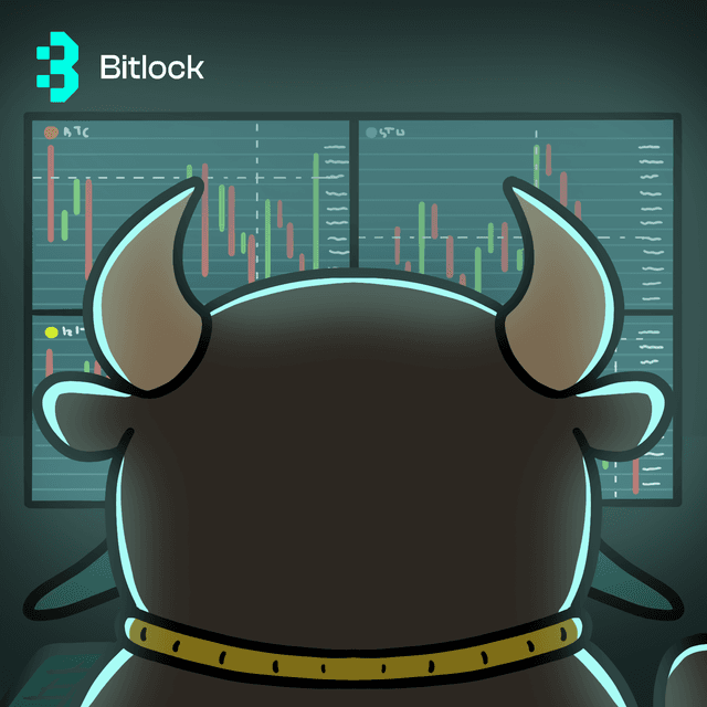 multichain wallet, bitlock wallet hero
